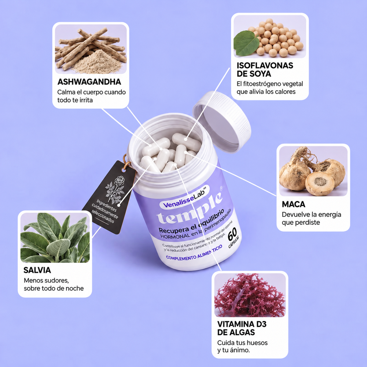 Temple®: Recupera el equilibrio en tu cuerpo